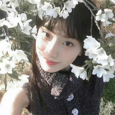 橱窗里的兔子先生